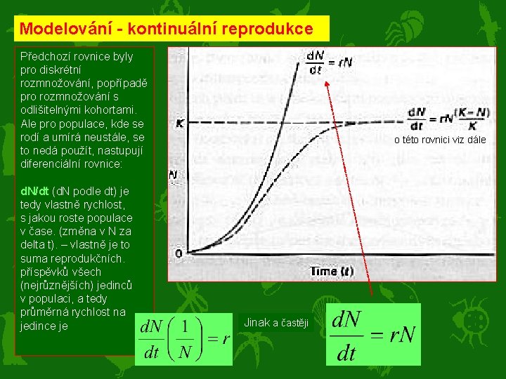 Modelování - kontinuální reprodukce Předchozí rovnice byly pro diskrétní rozmnožování, popřípadě pro rozmnožování s