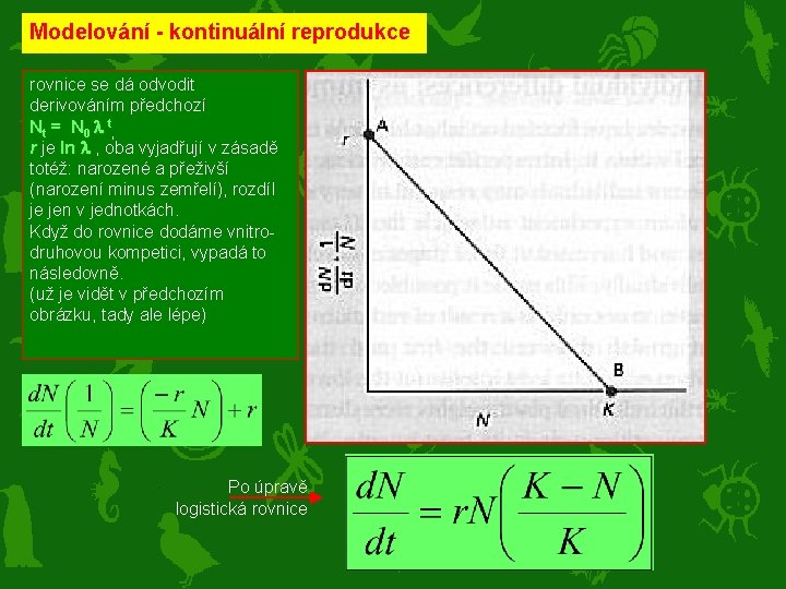 Modelování - kontinuální reprodukce rovnice se dá odvodit derivováním předchozí Nt = N 0
