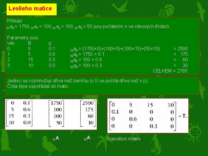 Leslieho matice Příklad: t 1 a 0 = 1750, t 1 a 1 =