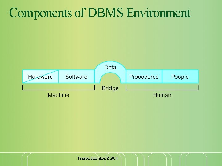 Components of DBMS Environment Pearson Education © 2014 