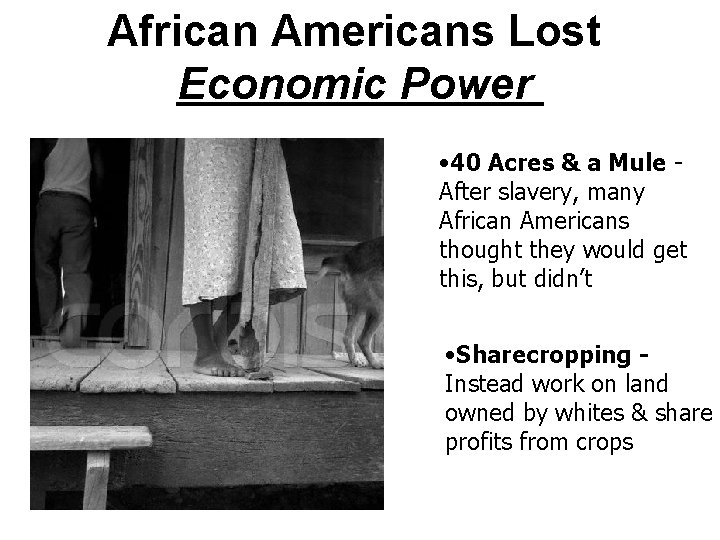 African Americans Lost Economic Power • 40 Acres & a Mule After slavery, many