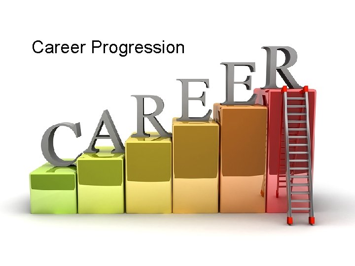 Career Progression 