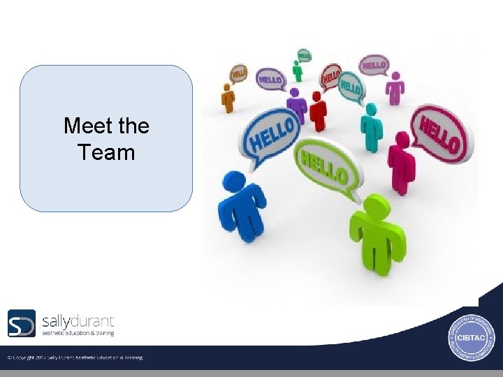 Meet the Team 