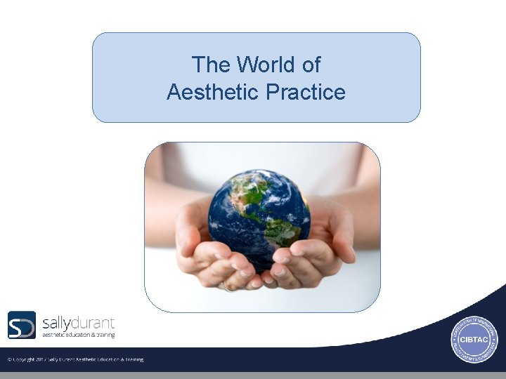 The World of Aesthetic Practice 