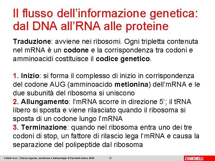 Il flusso dell’informazione genetica: dal DNA all’RNA alle proteine Traduzione: avviene nei ribosomi. Ogni