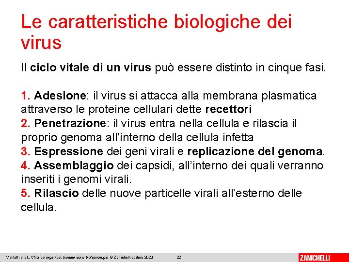 Le caratteristiche biologiche dei virus Il ciclo vitale di un virus può essere distinto
