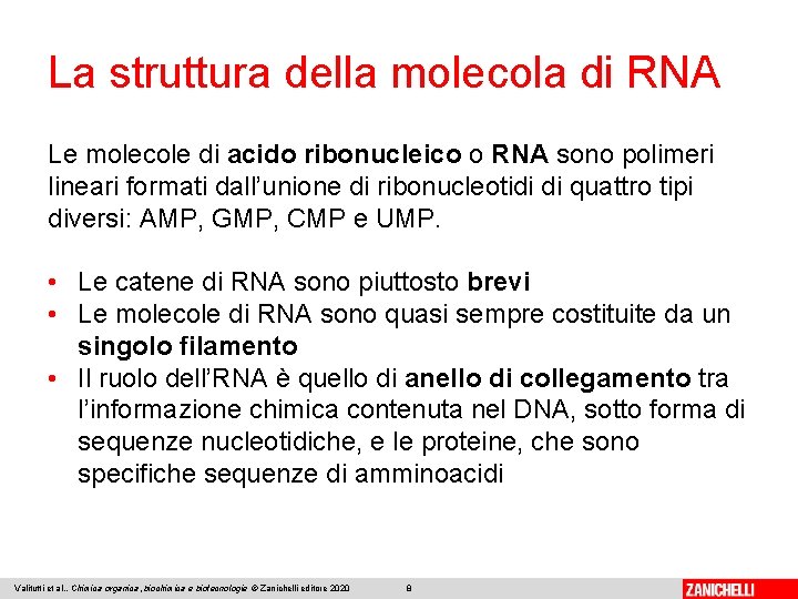 La struttura della molecola di RNA Le molecole di acido ribonucleico o RNA sono