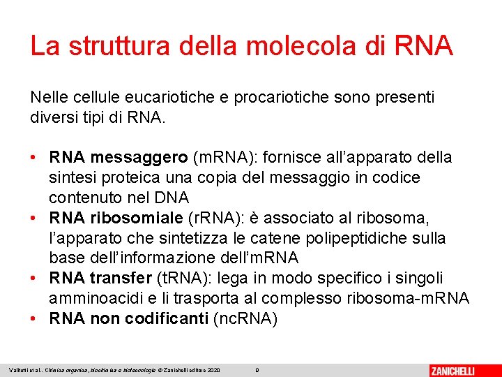 La struttura della molecola di RNA Nelle cellule eucariotiche e procariotiche sono presenti diversi