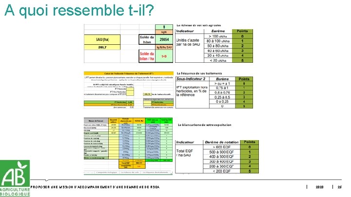 A quoi ressemble t-il? PROPOSER UNE MISSION D’ACCOMPAGNEMENT D’UNE DÉMARCHE DE RSEA 2020 25