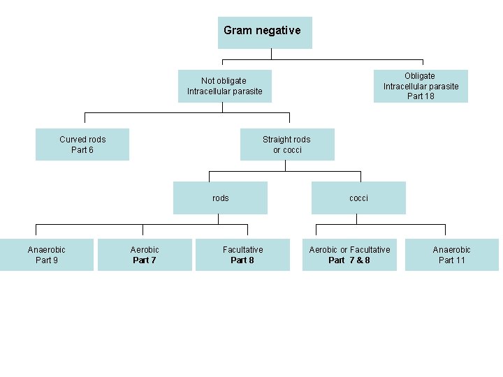 Gram negative Obligate Intracellular parasite Part 18 Not obligate Intracellular parasite Curved rods Part
