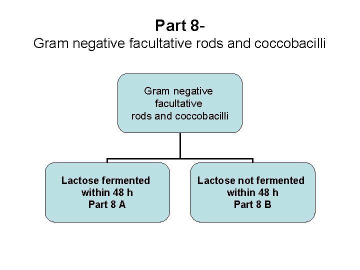 Part 8 Gram negative facultative rods and coccobacilli Lactose fermented within 48 h Part