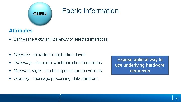 GURU Fabric Information Attributes § Defines the limits and behavior of selected interfaces §