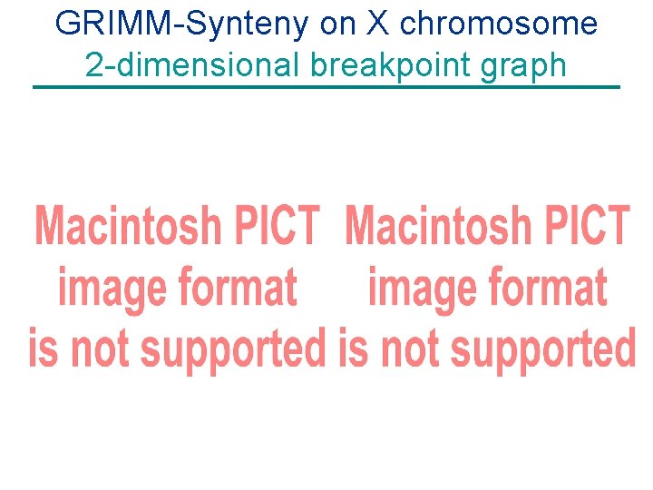 GRIMM-Synteny on X chromosome 2 -dimensional breakpoint graph 