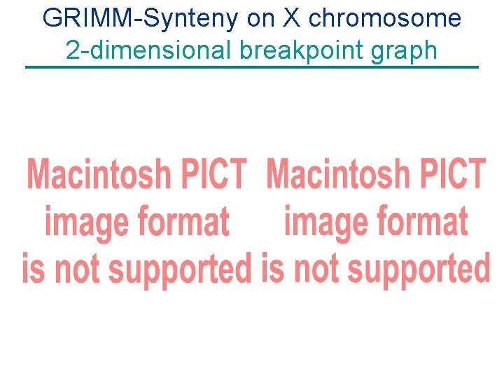GRIMM-Synteny on X chromosome 2 -dimensional breakpoint graph 