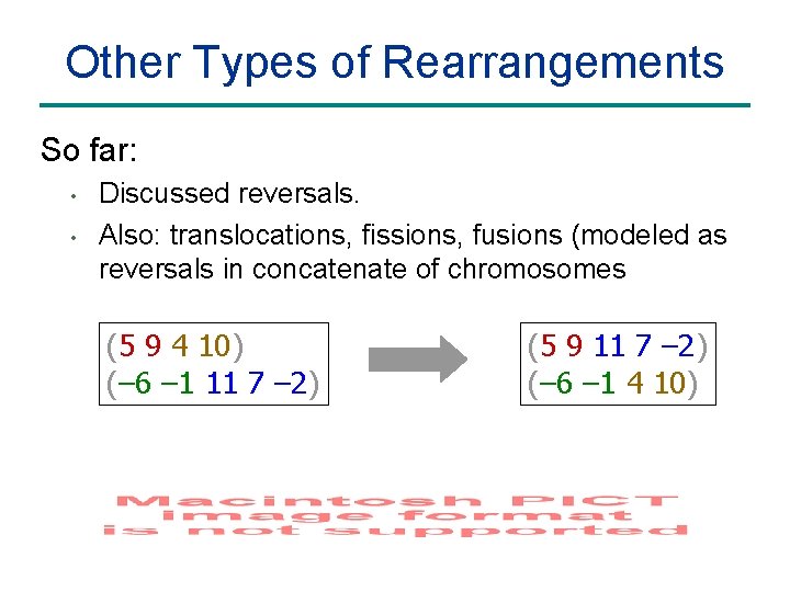 Other Types of Rearrangements So far: • • Discussed reversals. Also: translocations, fissions, fusions