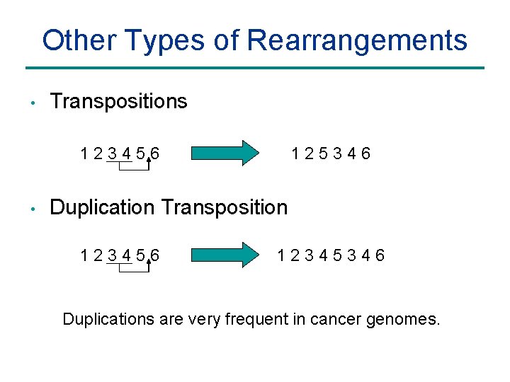 Other Types of Rearrangements • Transpositions 123456 • 125346 Duplication Transposition 123456 12345346 Duplications