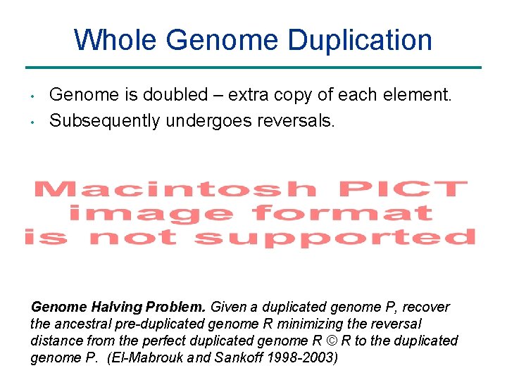 Whole Genome Duplication • • Genome is doubled – extra copy of each element.