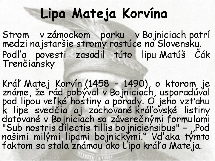 Lipa Mateja Korvína Strom v zámockom parku v Bojniciach patrí medzi najstaršie stromy rastúce Lipa Mateja Korvína Strom v zámockom parku v Bojniciach patrí medzi najstaršie stromy rastúce