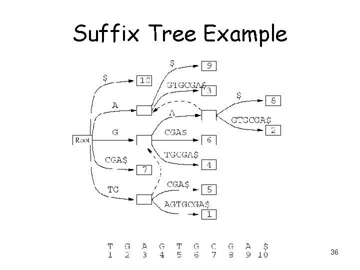 Suffix Tree Example 36 
