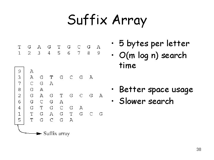 Suffix Array • 5 bytes per letter • O(m log n) search time •