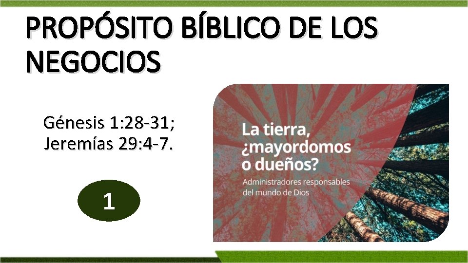 PROPÓSITO BÍBLICO DE LOS NEGOCIOS Génesis 1: 28 -31; Jeremías 29: 4 -7. 1