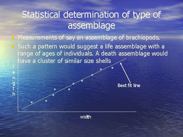Statistical determination of type of assemblage • Measurements of say an assemblage of brachiopods.