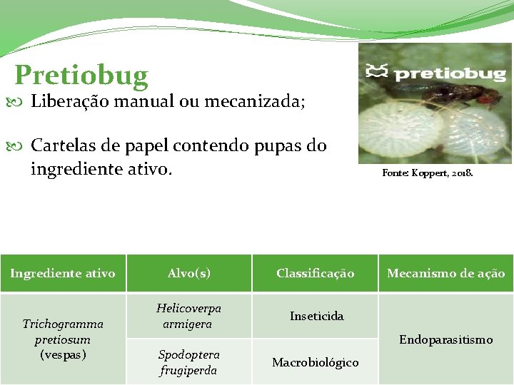  Pretiobug Liberação manual ou mecanizada; Cartelas de papel contendo pupas do ingrediente ativo.