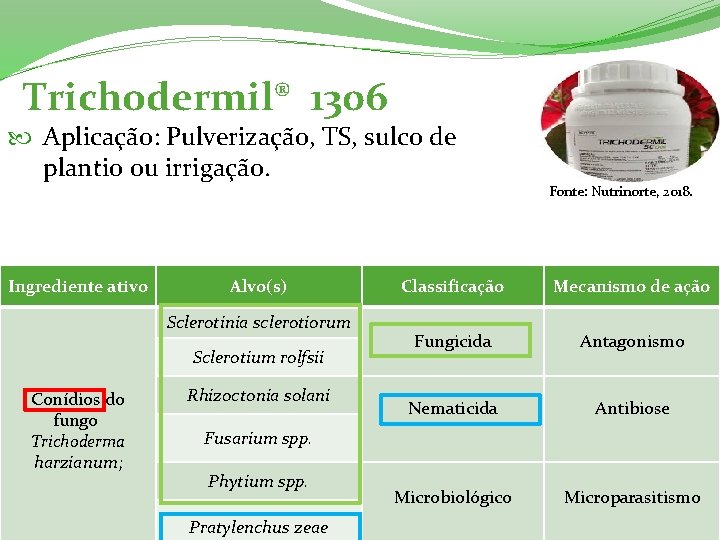 Trichodermil® 1306 Aplicação: Pulverização, TS, sulco de plantio ou irrigação. Ingrediente ativo Alvo(s) Sclerotinia