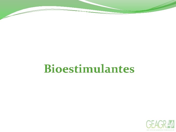  Bioestimulantes 