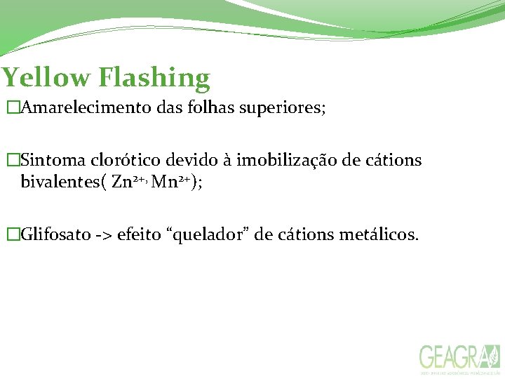 Yellow Flashing �Amarelecimento das folhas superiores; �Sintoma clorótico devido à imobilização de cátions bivalentes(