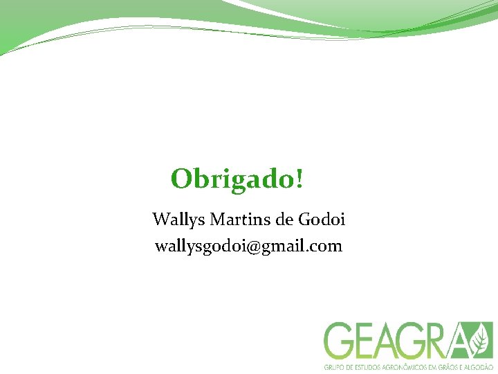 Obrigado! Wallys Martins de Godoi wallysgodoi@gmail. com 