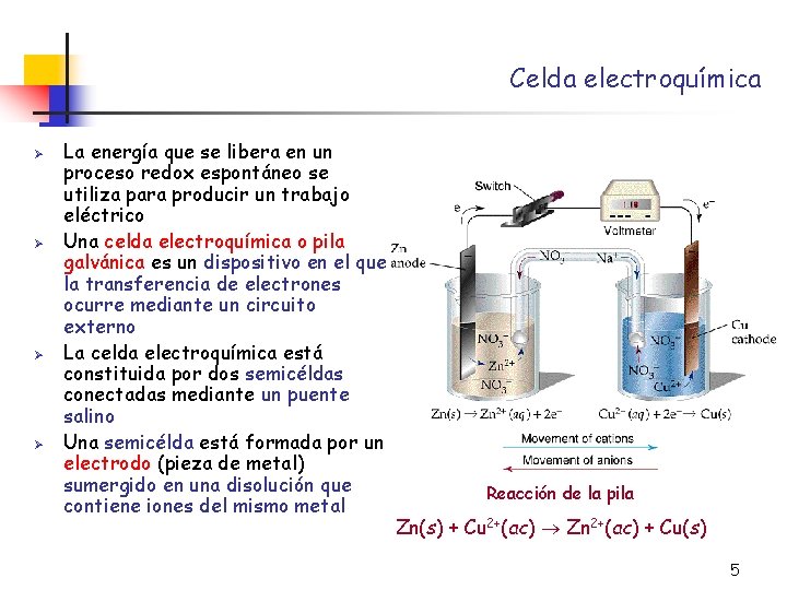 Celda electroquímica Ø Ø La energía que se libera en un proceso redox espontáneo