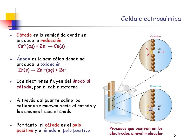 Celda electroquímica Ø Ø Ø Cátodo es la semicélda donde se produce la reducción