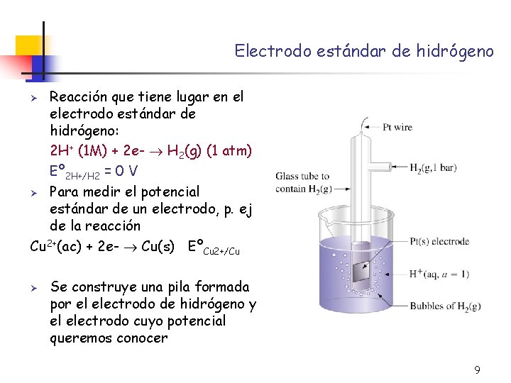 Electrodo estándar de hidrógeno Reacción que tiene lugar en el electrodo estándar de hidrógeno: