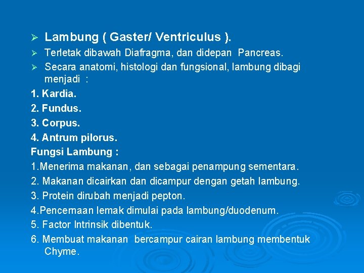 Ø Lambung ( Gaster/ Ventriculus ). Terletak dibawah Diafragma, dan didepan Pancreas. Ø Secara