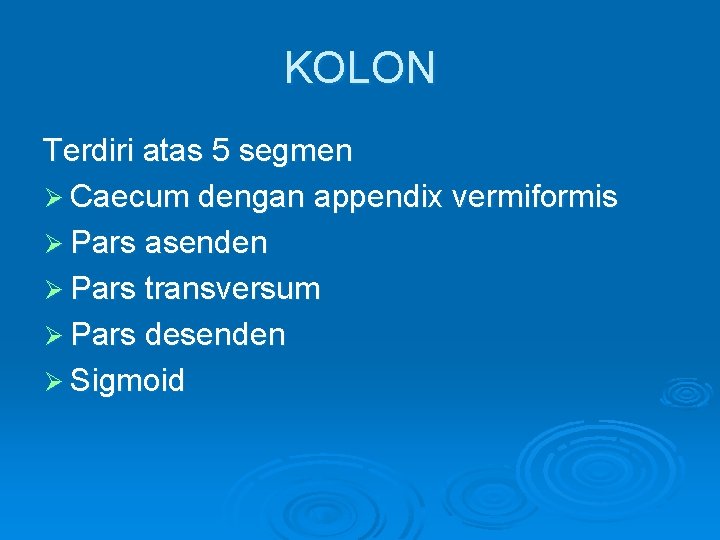 KOLON Terdiri atas 5 segmen Ø Caecum dengan appendix vermiformis Ø Pars asenden Ø
