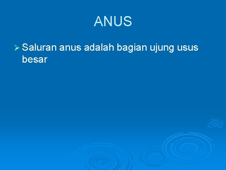 ANUS Ø Saluran anus adalah bagian ujung usus besar 