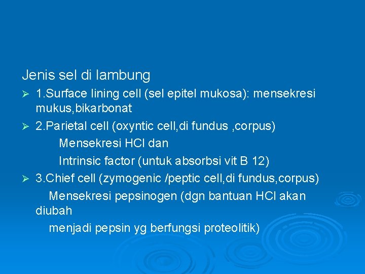 Jenis sel di lambung Ø Ø Ø 1. Surface lining cell (sel epitel mukosa):
