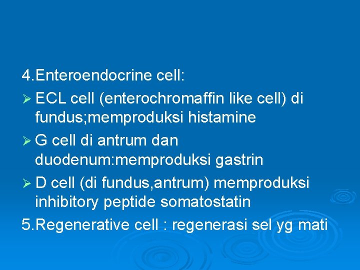 4. Enteroendocrine cell: Ø ECL cell (enterochromaffin like cell) di fundus; memproduksi histamine Ø