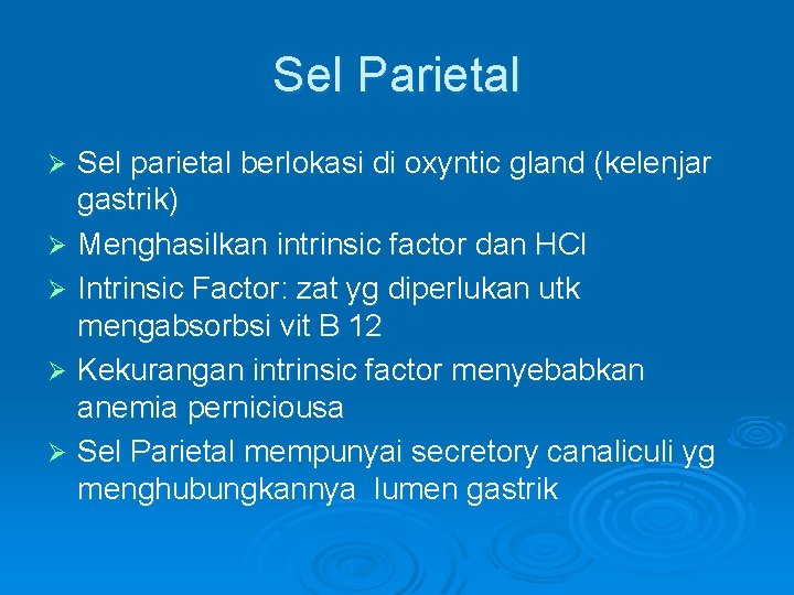 Sel Parietal Sel parietal berlokasi di oxyntic gland (kelenjar gastrik) Ø Menghasilkan intrinsic factor