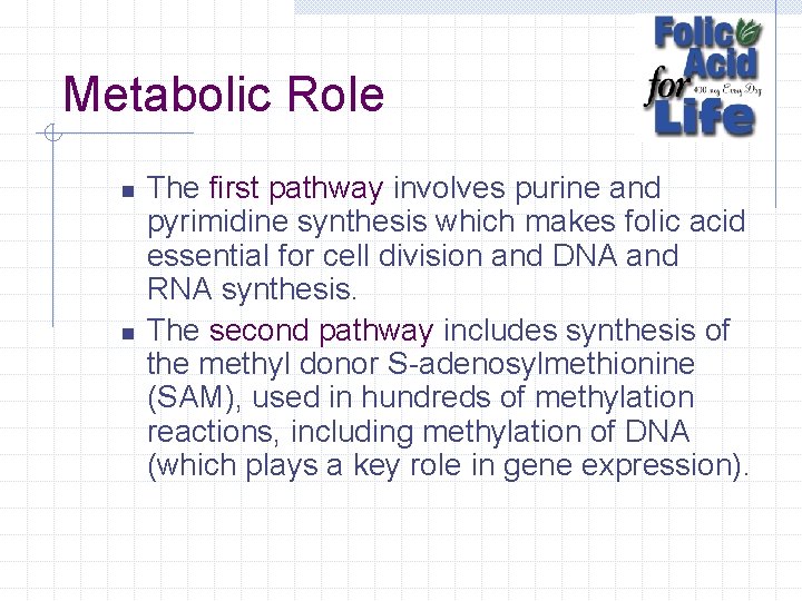 Metabolic Role n n The first pathway involves purine and pyrimidine synthesis which makes