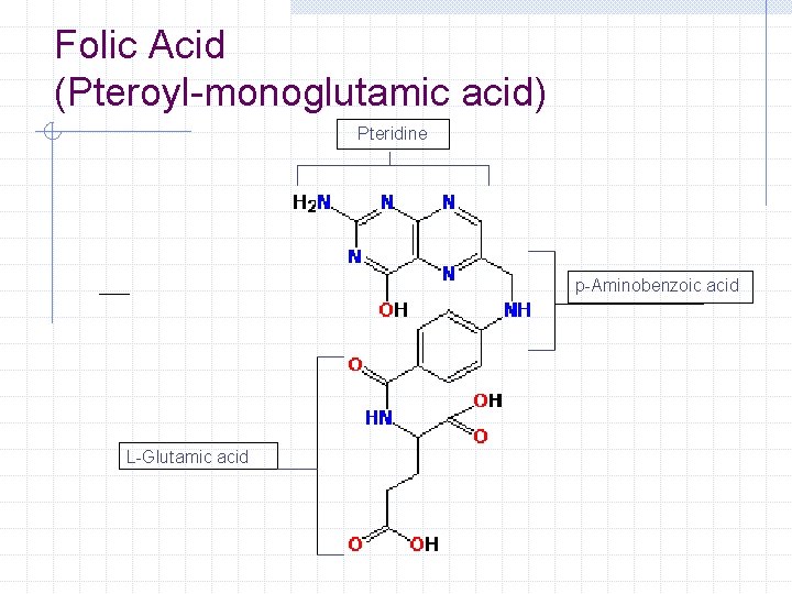 Folic Acid (Pteroyl-monoglutamic acid) Pteridine p-Aminobenzoic acid L-Glutamic acid 