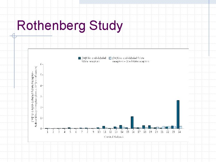 Rothenberg Study 