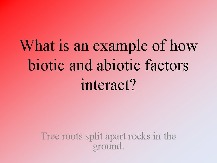 What is an example of how biotic and abiotic factors interact? Tree roots split What is an example of how biotic and abiotic factors interact? Tree roots split