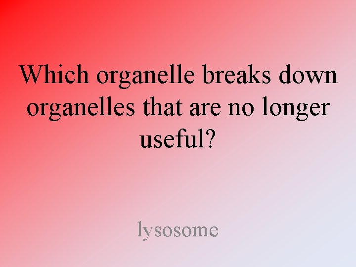 Which organelle breaks down organelles that are no longer useful? lysosome Which organelle breaks down organelles that are no longer useful? lysosome