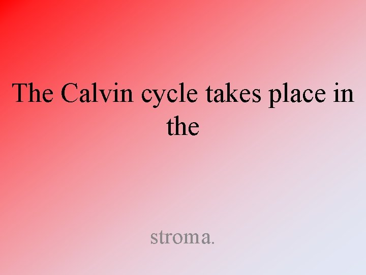 The Calvin cycle takes place in the stroma. 