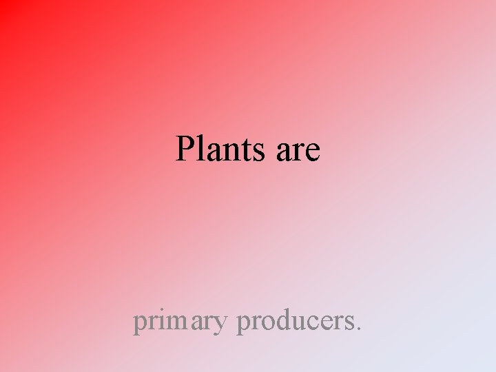 Plants are primary producers. 