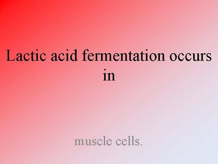 Lactic acid fermentation occurs in muscle cells. 