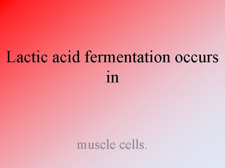 Lactic acid fermentation occurs in muscle cells. Lactic acid fermentation occurs in muscle cells.
