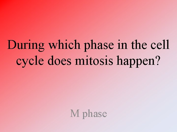 During which phase in the cell cycle does mitosis happen? M phase During which phase in the cell cycle does mitosis happen? M phase